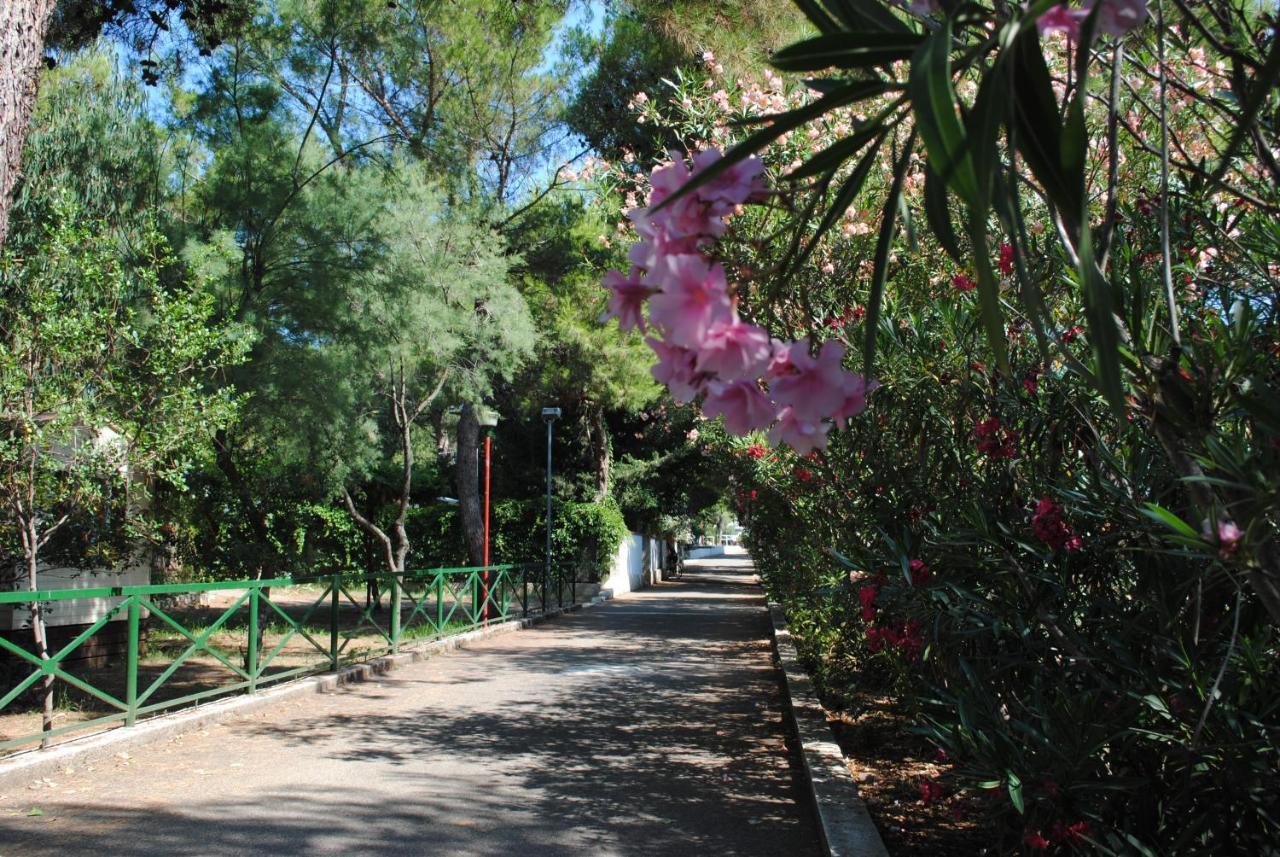 Camping Village Vieste Marina מראה חיצוני תמונה